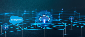 implemented-case-management-solution-powered-by-salesforce-cloud-and-cti-for-a-leading