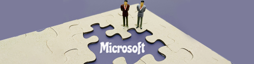 microsoft-based-development-services2